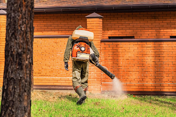 Trusted Termite Control service in Tignall, GA - Nex Pest Control